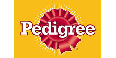 pdg